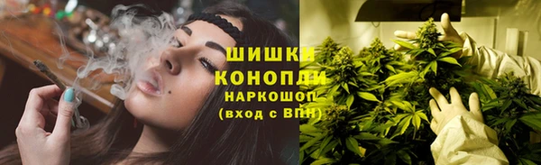 спайс Богданович