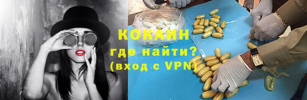 стаф Богородск