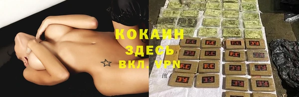 спайс Богданович