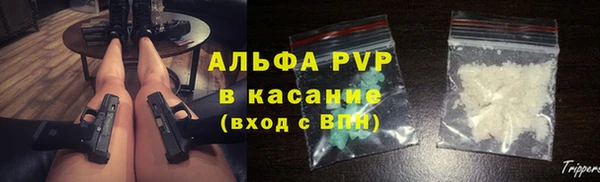 стаф Богородск