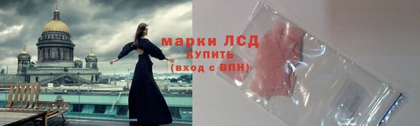 спайс Богданович