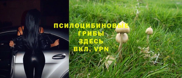 MDMA Богородицк