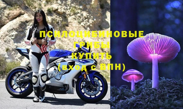 MDMA Богородицк