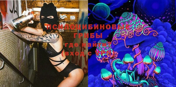 стафф Гвардейск