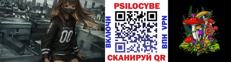 Галлюциногенные грибы GOLDEN TEACHER  нарко площадка официальный сайт  Демидов  закладки 