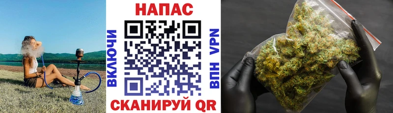 Канабис гибрид Демидов